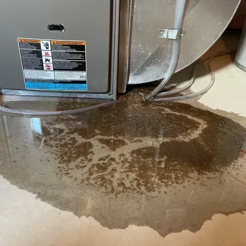 Appliance Leak Cleanup in Daviess County, KY